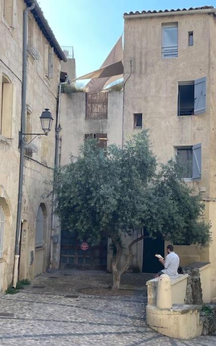 Appartement Cosy Au Coeur De L'Ecusson Montpellier Kültér fotó